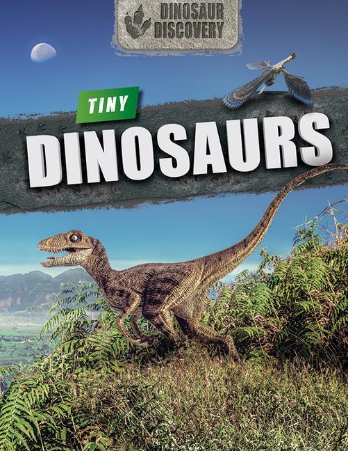 Knjiga Tiny Dinosaurs 