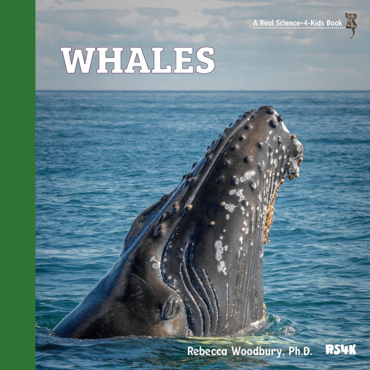 Book Whales 