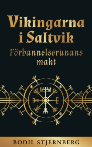Carte Vikingarna i Saltvik 