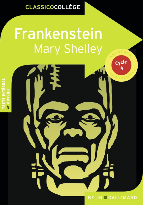 Kniha Frankenstein de Mary Shelley Hannedouche
