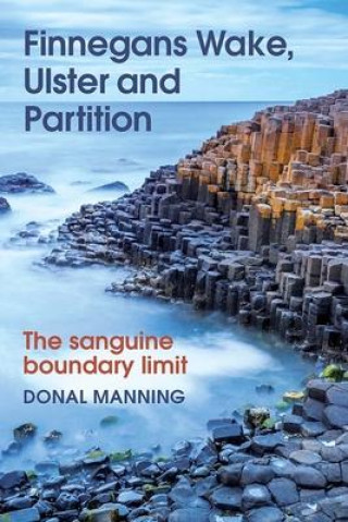 Kniha Finnegans Wake, Ulster and Partition: The Sanguine Boundary Limit 