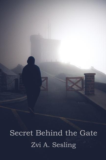 Knjiga Secret Behind the Gate 