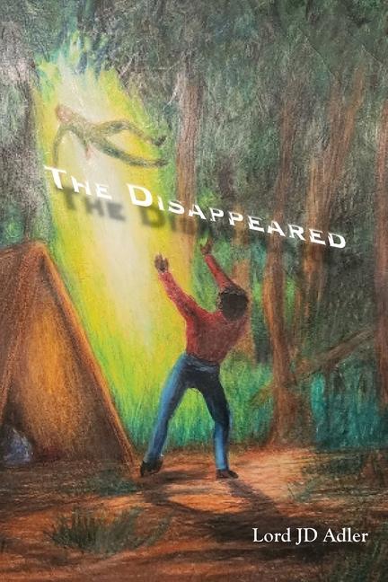 Book The Disappeared JD Adler