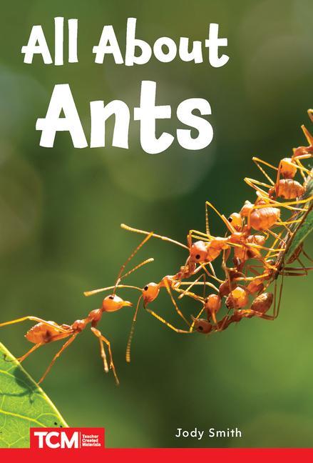 Książka All about Ants Smith