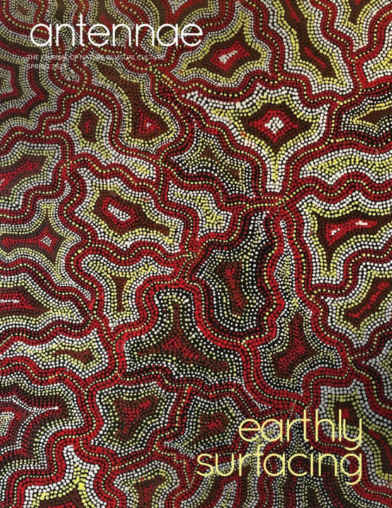 Book Antennae #60 Earthly Surfacing Derrick Woods-Morrow