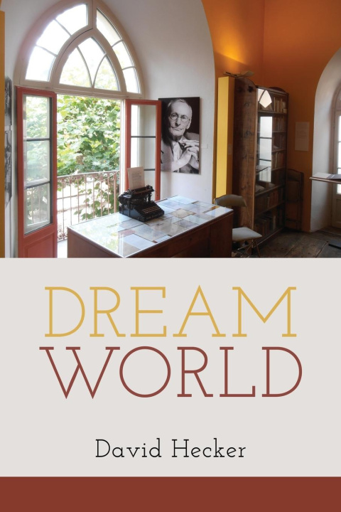 Boek Dream World David Hecker