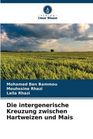 Buch Die intergenerische Kreuzung zwischen Hartweizen und Mais Mouhssine Rhazi