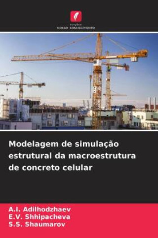 Buch Modelagem de simulaç?o estrutural da macroestrutura de concreto celular E. V. Shhipacheva