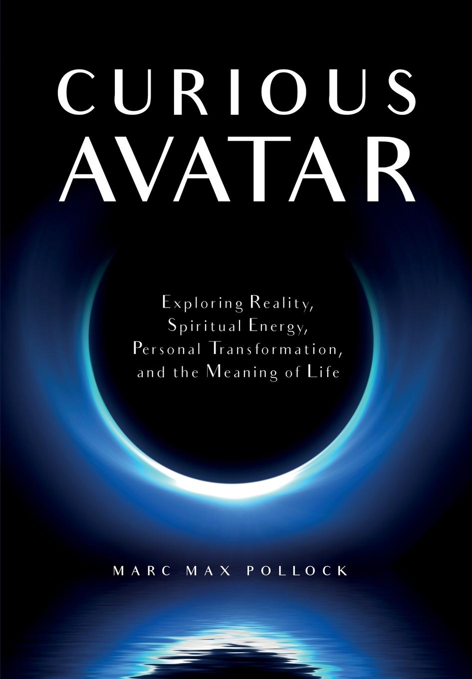 Buch Curious Avatar Marc Max Pollock
