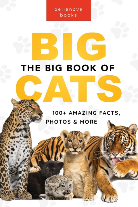 Carte The Big Book of Big Cats 