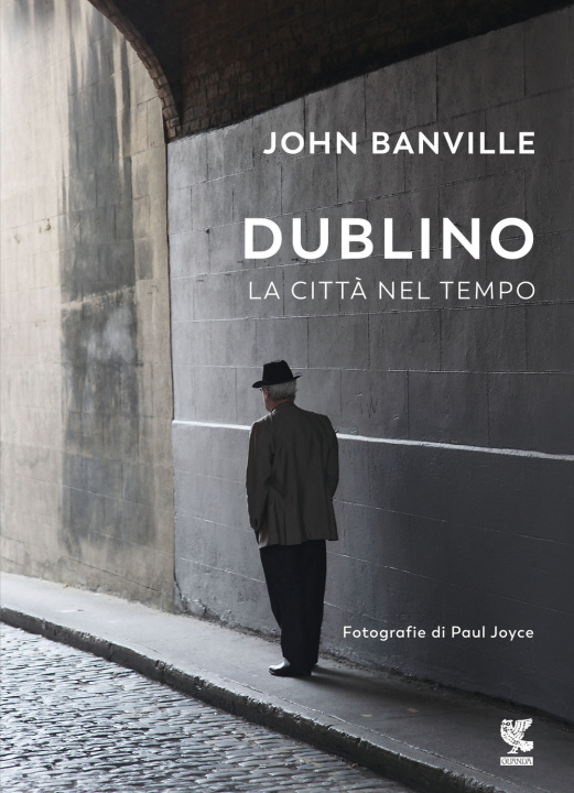 Buch Dublino. La città nel tempo John Banville
