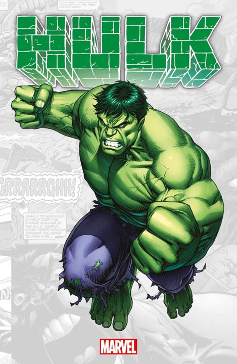 Kniha Hulk. Marvel-verse Bill Mantlo