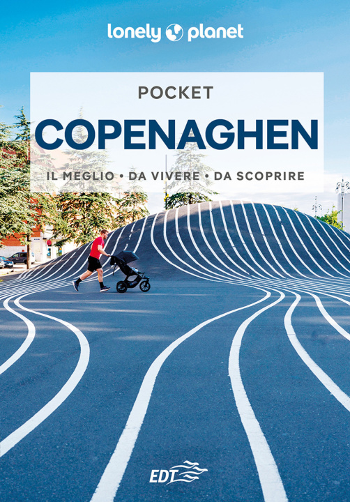 Kniha Copenaghen Egill Bjarnason
