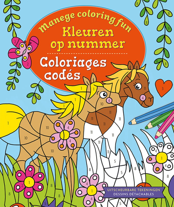 Libro Manege Coloring Fun - Coloriages codés THEISSEN