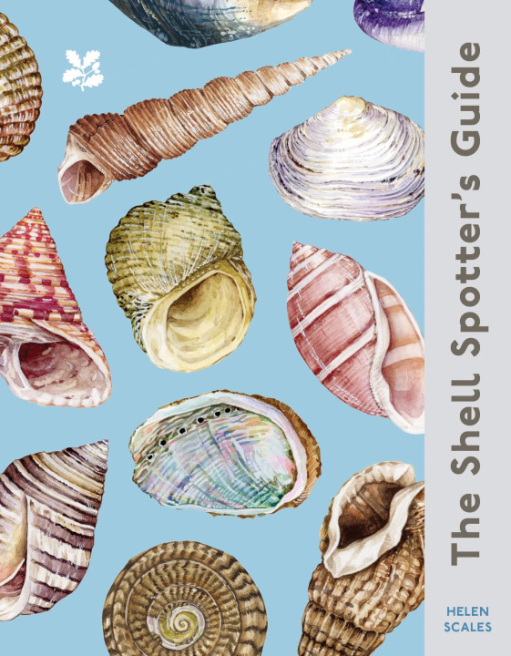 Kniha Shell-spotter's Guide Dr Helen Scales