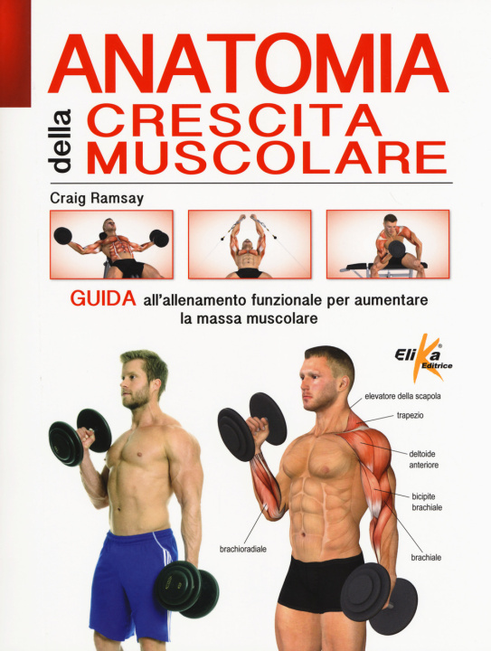 Kniha Anatomia della crescita muscolare. Guida all'allenamento funzionale per aumentare la massa muscolare Craig Ramsay