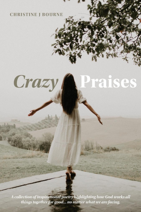 Knjiga Crazy Praises Christine Bourne