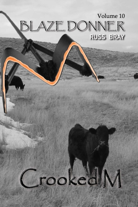 Buch Crooked M Kathy Bray