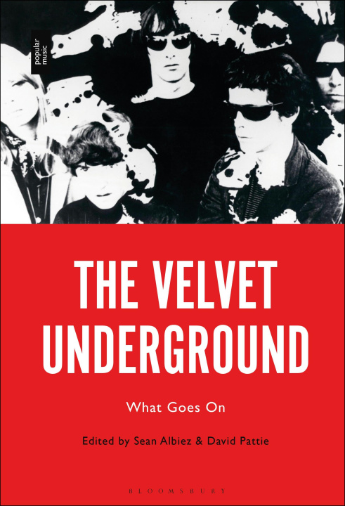 Book The Velvet Underground: What Goes on David Pattie