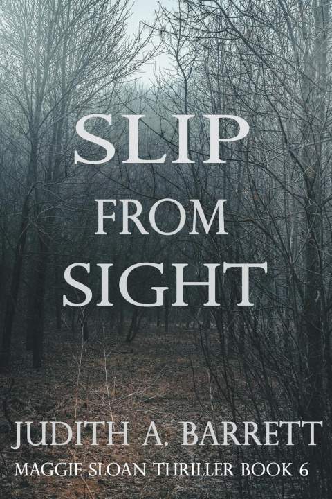 Knjiga Slip from Sight Judith A. Barrett