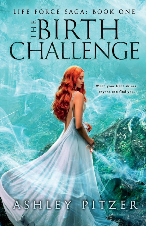 Knjiga The Birth Challenge Ashley Pitzer