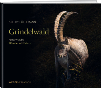 Knjiga Grindelwald Speedy Füllemann