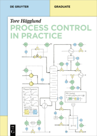 Könyv Practical Process Control Tore Hägglund