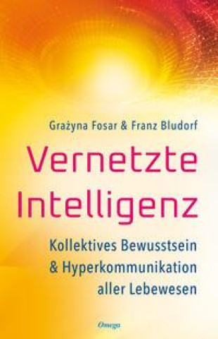 Kniha Vernetzte Intelligenz Franz Bludorf