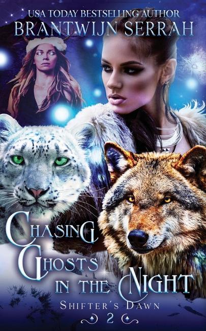 Kniha Chasing Ghosts in the Night Jo Huysamen