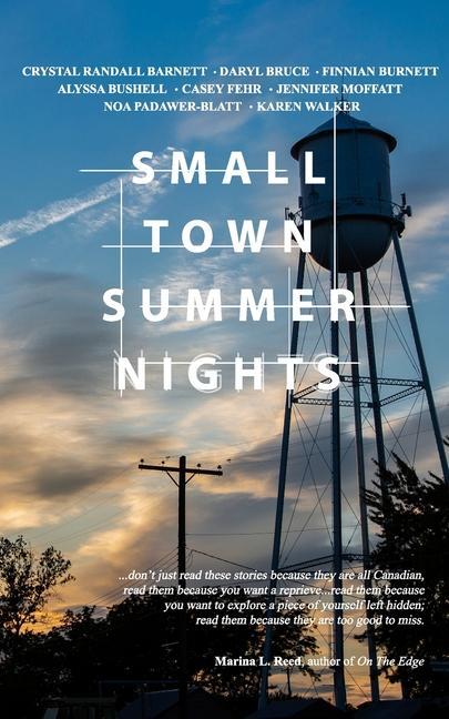 Boek Small Town Summer Nights Finnian Burnett