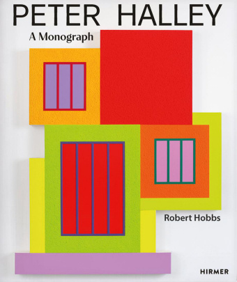 Książka Peter Halley Robert Hobbs