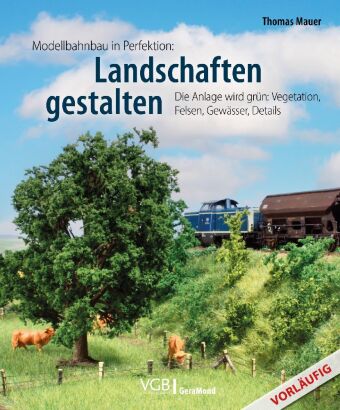 Kniha Modellbahn-Landschaft 