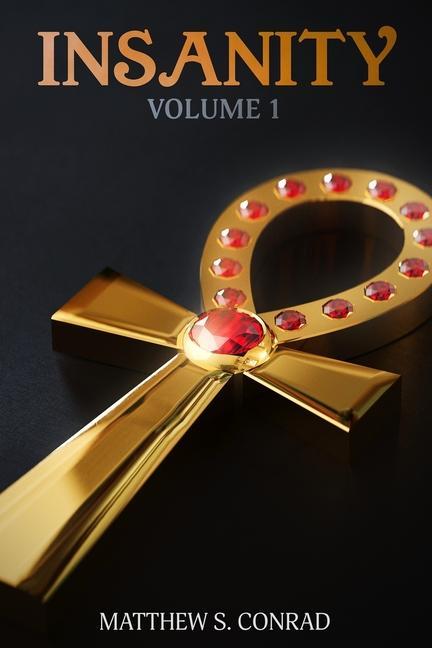 Knjiga Insanity: Volume 1 Matthew S. Conrad