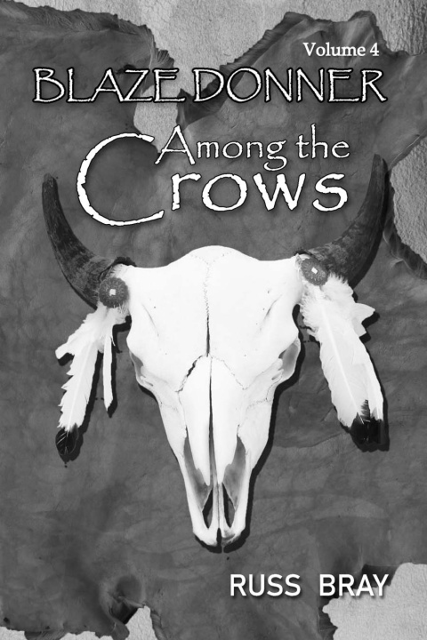 Buch Among the Crows Kathy Bray