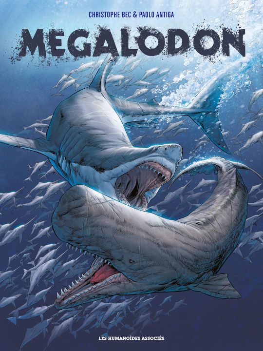 Buch Mégalodon 