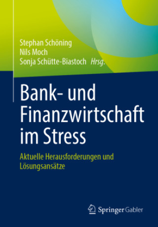 Kniha Bank- und Finanzwirtschaft im Stress Stephan Schöning