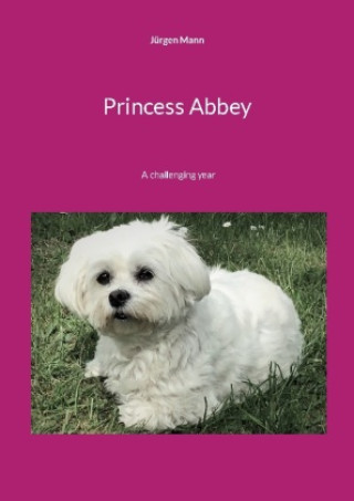 Knjiga Princess Abbey Jürgen Mann