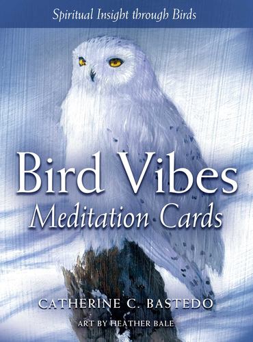 Książka BAD VIBES MEDITATION CARDS BASTEDO CATHERINE C