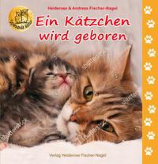Book Ein Kätzchen wird geboren Heiderose Fischer-Nagel