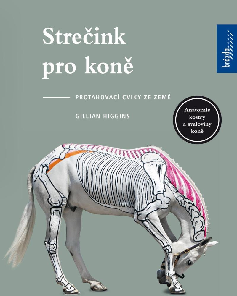 Könyv Strečink pro koně - protahovací cviky ze země Gillian Higgins