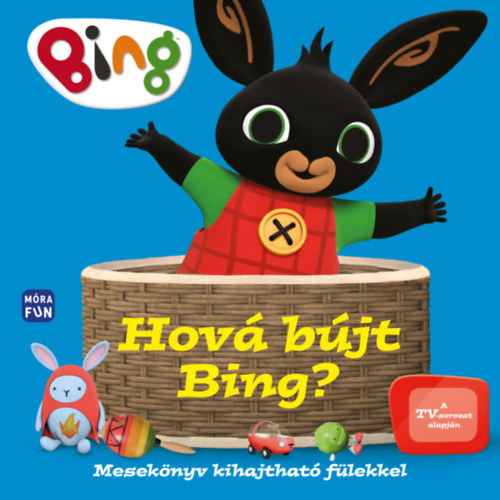 Könyv Hová bújt Bing? 