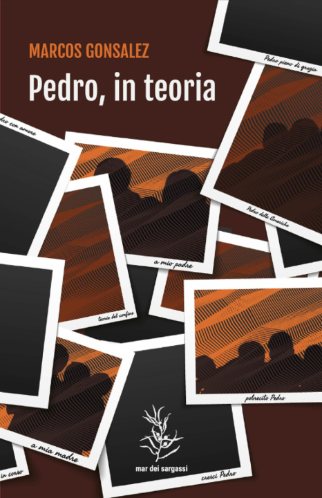 Libro Pedro, in teoria Marcos Gonsalez