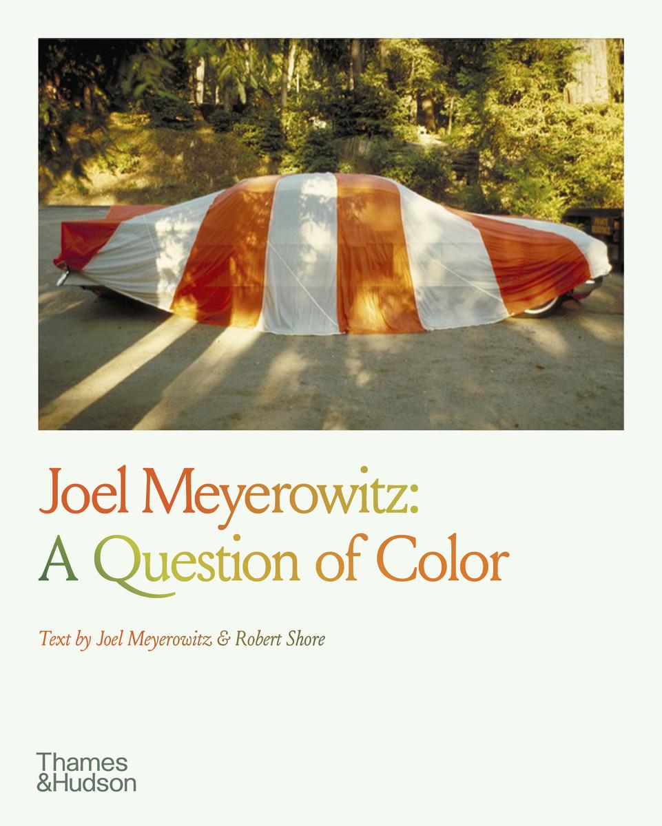 Kniha Joel Meyerowitz: A Question of Colour Joel Meyerowitz