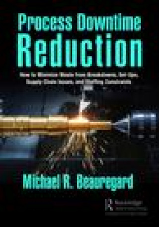 Knjiga Process Downtime Reduction Michael R. Beauregard