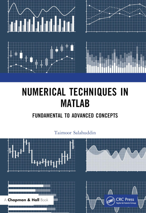 Kniha Numerical Techniques in MATLAB Salahuddin