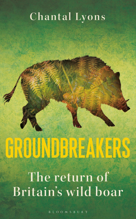 Knjiga Groundbreakers Lyons Chantal Lyons