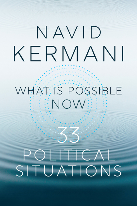 Knjiga What is Possible Now Navid Kermani