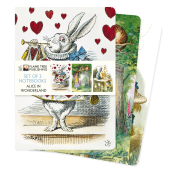 Naptár/Határidőnapló Alice in Wonderland Set of 3 Standard Notebooks 