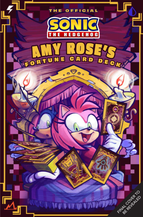 Kniha AMY ROSES FORTUNE CARD DECK OFFICIAL SON INSIGHT