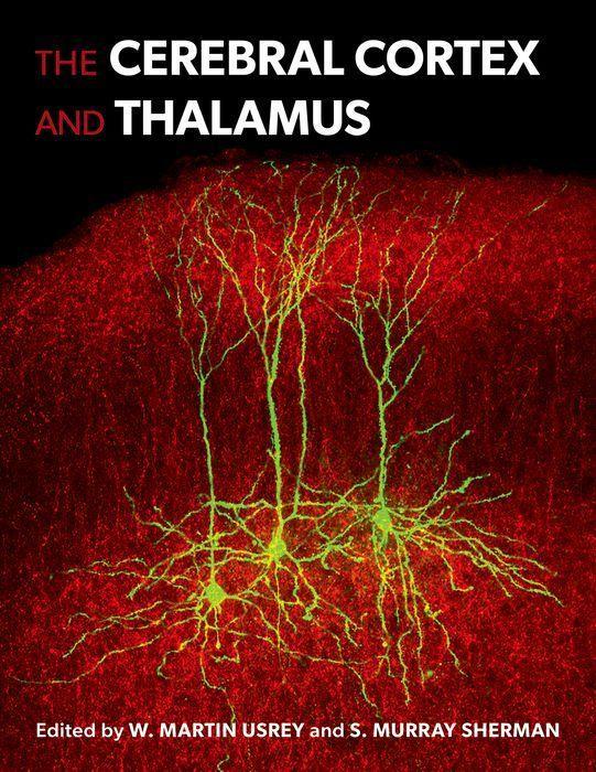 Carte The Cerebral Cortex and Thalamus 
